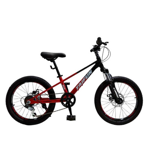 Велосипед спортивный Corso Taifun 20 дюймов TF-91473