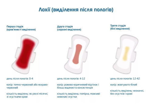 Послеродовые выделения (лохии): что является нормой, а что – поводом обратиться к врачу