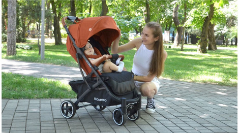 Прогулочные коляски El Camino