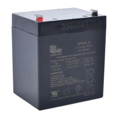 Аккумулятор для детского электромобиля Long Way 12V4,5Ah-BATTERY (2023)
