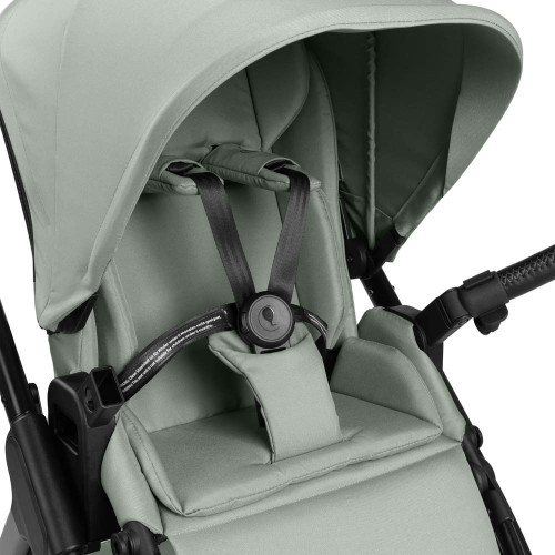 Прогулочная коляска ABC Design Samba 2 Pine — 21081