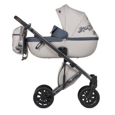 Коляска 2в1 Anex e/type Eden