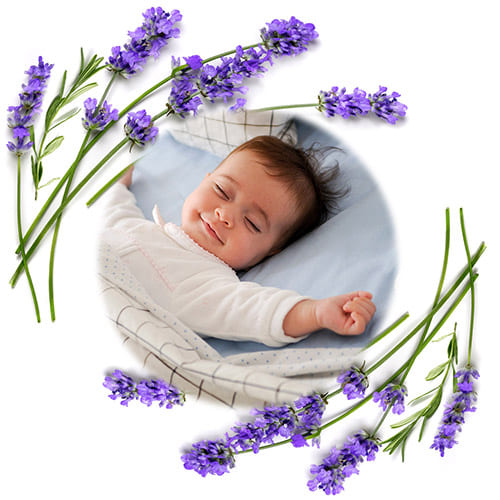 Подушка-грілка з кісточок вишні та ароматом лаванди BabyOno, сіра (796/02) — 20299