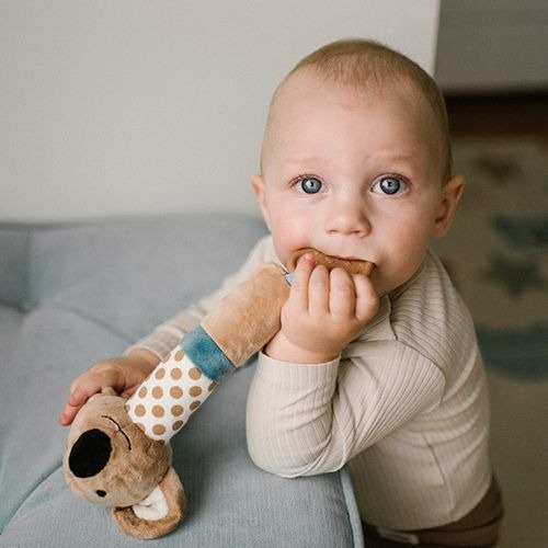 Іграшка з пищалкою та прорізувачем BabyOno Koala Charlie (1560) — 22472