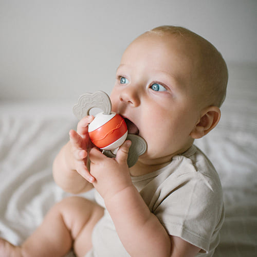 Іграшка брязкальце з прорізувачем BabyOno (1587) — 18298