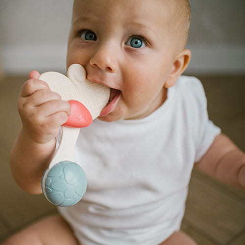 Іграшка брязкальце з прорізувачем BabyOno (1589) — 18294