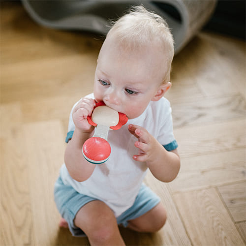 Игрушка погремушка с прорезывателем BabyOno (1590) — 18291