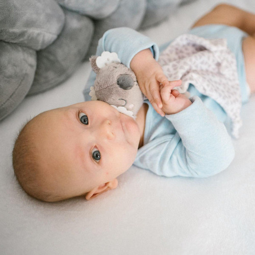 М'яка іграшка-ковдра BabyOno Koala Coco (1635) — 22476