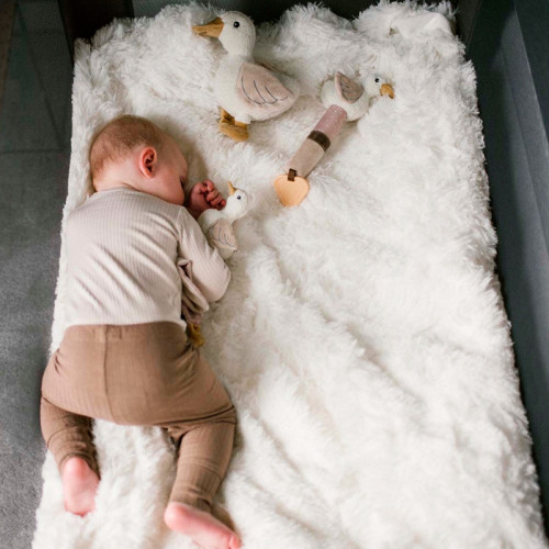 М'яка іграшка з брязкальцем BabyOno Goose Zoe (1554) — 22493