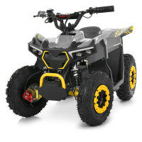 Дитячий квадроцикл Bambi Racer HB-FFG1000-11-6
