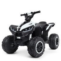 Дитячий квадроцикл M 4959EBLR-1