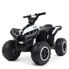 Детский квадроцикл M 4959EBLR-1
