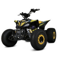 Потужний квадроцикл для підлітків Bambi Racer E-FOX-1450-6