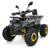 Мощный квадроцикл Bambi Racer со спинкой Profi1 HB-FC1450-11-6