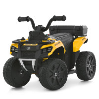 Детский квадроцикл Bambi Racer M 6286EBLR-6