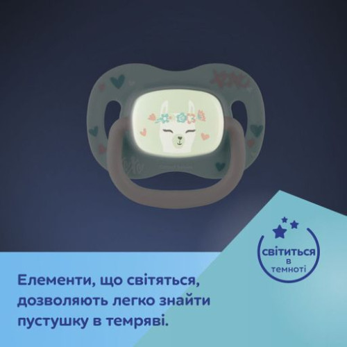 Пустушка Canpol Babies Exotic Панда, симетрична, 6-18 міс., 1 шт (34/921_pand) — 10152