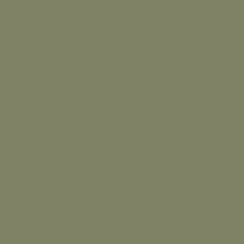 Прогулянкова коляска Carrello Evo CRL-5533 Shamrock Green 2026 — 24729 Прогулянкова коляска Carrello Evo CRL-5533 Shamrock Green 2026 — 24729