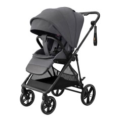 Коляска прогулочная Carrello Extra CRL-6532 Chrome Grey
