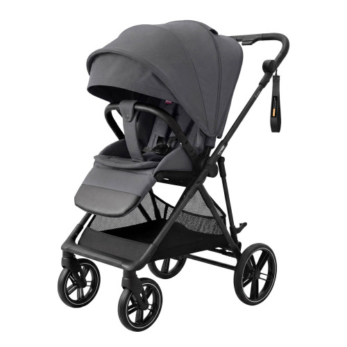Коляска прогулочная Carrello Extra CRL-5532 Chrome Grey