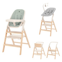Стільчик для годування 4в1 з шезлонгом Carrello Ergo CRL-16701 Elora Green