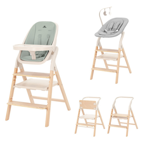 Стульчик для кормления 4в1 с шезлонгом Carrello Ergo CRL-16701 Elora Green