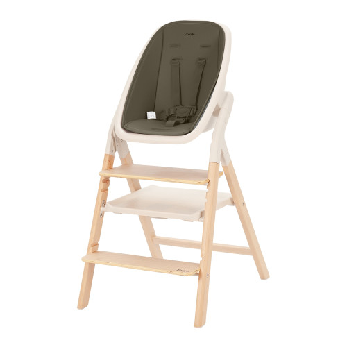 Стільчик для годування 4в1 з шезлонгом Carrello Ergo CRL-16701 Pine Green — 16601