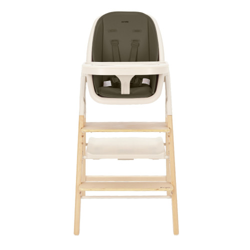 Стільчик для годування 4в1 з шезлонгом Carrello Ergo CRL-16701 Pine Green — 16601