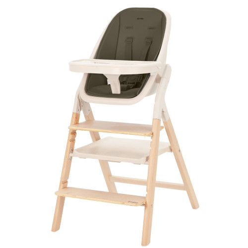Стільчик для годування 4в1 з шезлонгом Carrello Ergo CRL-16701 Pine Green — 16601