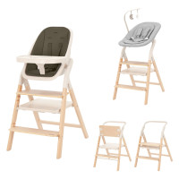 Стільчик для годування 4в1 з шезлонгом Carrello Ergo CRL-16701 Pine Green