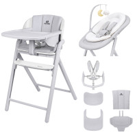Стульчик для кормления 3 в 1 Carrello Tenero CRL-9507 Atlantis Grey