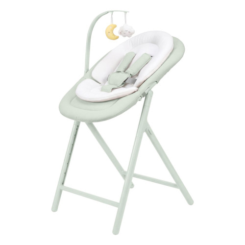 Стільчик для годування 3 в 1 Carrello Tenero CRL-9507 Elysium Green — 24825 Стільчик для годування 3 в 1 Carrello Tenero CRL-9507 Elysium Green — 24825