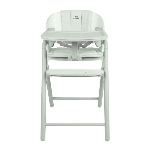 Стільчик для годування 3 в 1 Carrello Tenero CRL-9507 Elysium Green — 24825 Стільчик для годування 3 в 1 Carrello Tenero CRL-9507 Elysium Green — 24825