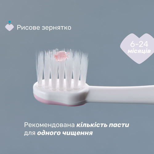 Зубная щетка Chicco для первых зубов 6-36 мес. розовая (12081.00) — 12519