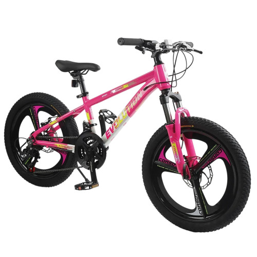 Велосипед спортивний Corso Evolution 20 дюймов EV-20103