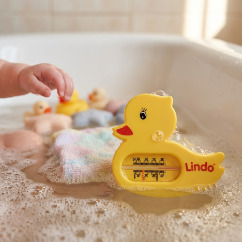 Термометр для води Lindo Каченя (Pk 004) — 25558 Термометр для води Lindo Каченя (Pk 004) — 25558