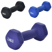 Гантелі для фітнеса з вініловим покриттям MS 0111-1 