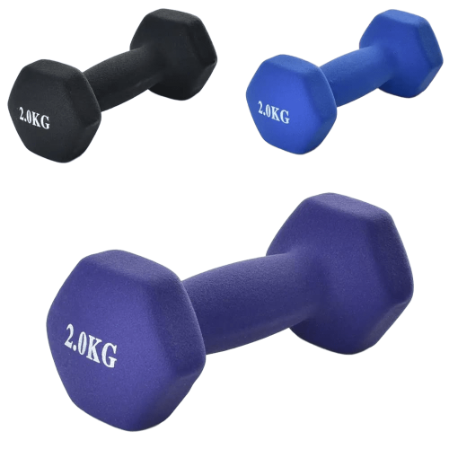 Гантелі для фітнеса з вініловим покриттям MS 0111-1 