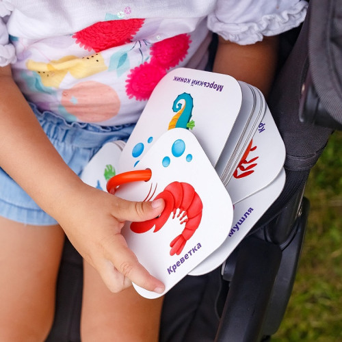 Розвиваючі картки на кільці Vladi Toys Кольори, Тварини (VT2000-01) — 18071