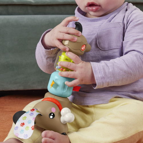 Іграшка розвиваюча Такса Fisher-Price (HTW91) — 11516